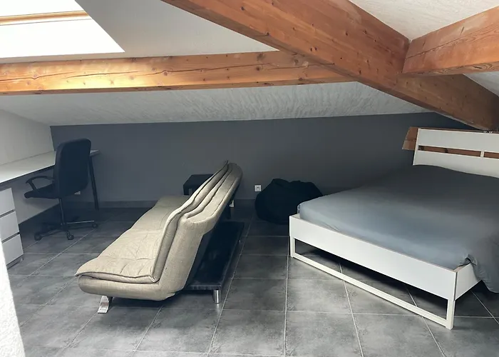 Studio7 Proche Fac Climatise